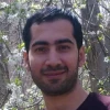 web-designer